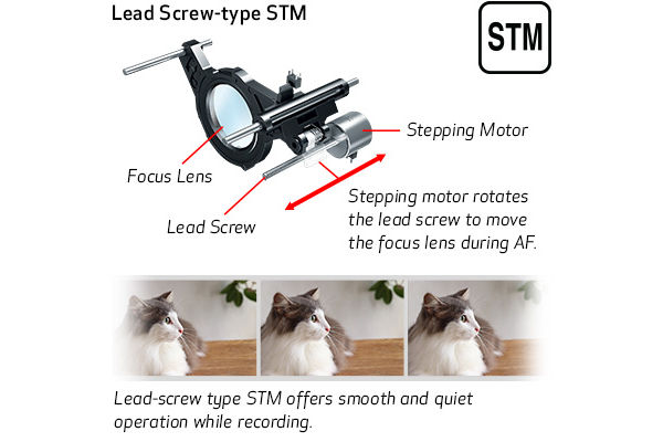 Lead Screw-type STM Sample