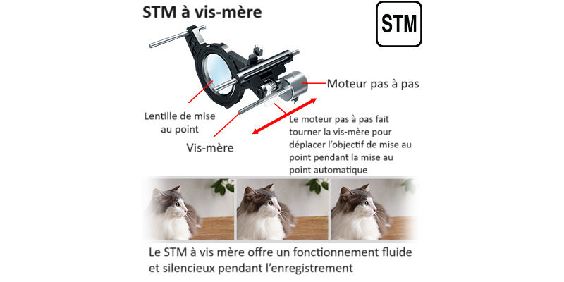Exemple STM de type vis-mère