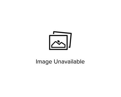EOS C100 DAF Image