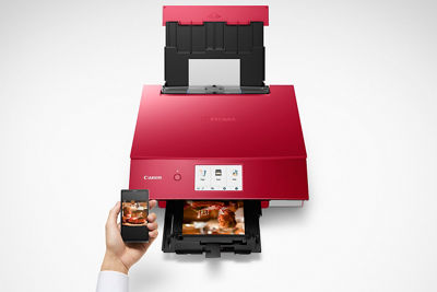 Canon PIXMA TS8220 Printer