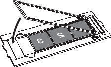 Scanning Film (8600F)