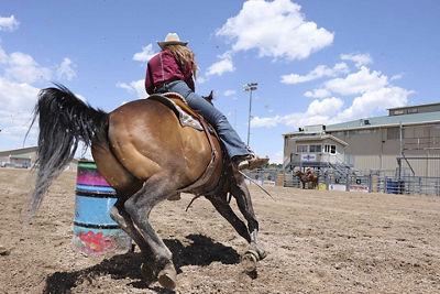 Procesador de Imagen DIGIC 8