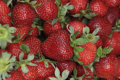 Sistema de autoenfoque AF de 45 puntos tipo cruz*