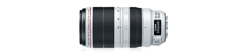 Explore EF 100-400mm f/4.5-5.6L IS II USM | Canon Latin America