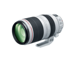 Lente Canon EF 100-400mm f/4.5-5.6L IS II USM | Telefoto Zoom