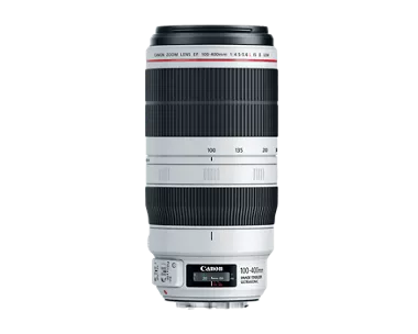 Shop Canon Refurbished EF 100-400mm F4.5-5.6L IS II USM | Canon U.S.A.