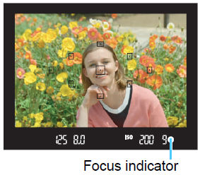Fully Automatic Shooting (Scene Intelligent Auto) on the EOS Rebel T100