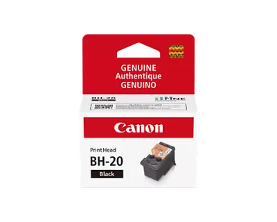 BH-20_3419C001_primary2