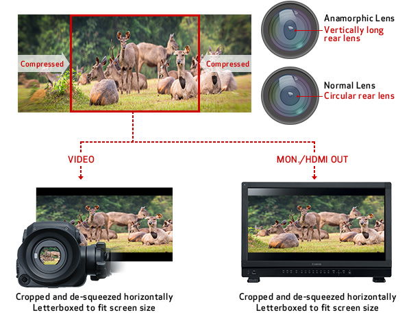 C500 Mark 2 Anamorphic Lens Support