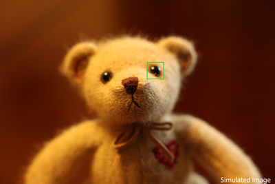 Teddy Bear before Canon precision alignment