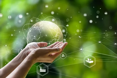 lightbulb against green background color