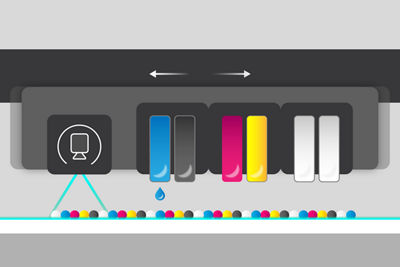 Dynamic Motion Control