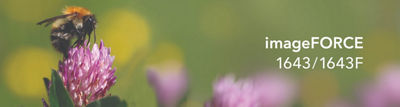 imageFROCE 1643 series