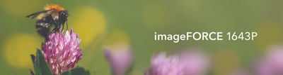 imageFROCE 1643 series