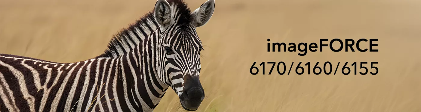 imageFROCE C6100 series