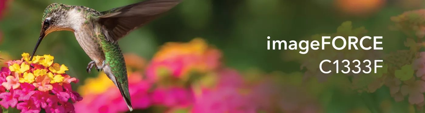 imageFROCE C1333F Series