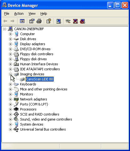 Verifying the scanner is detected by the computer (Windows)