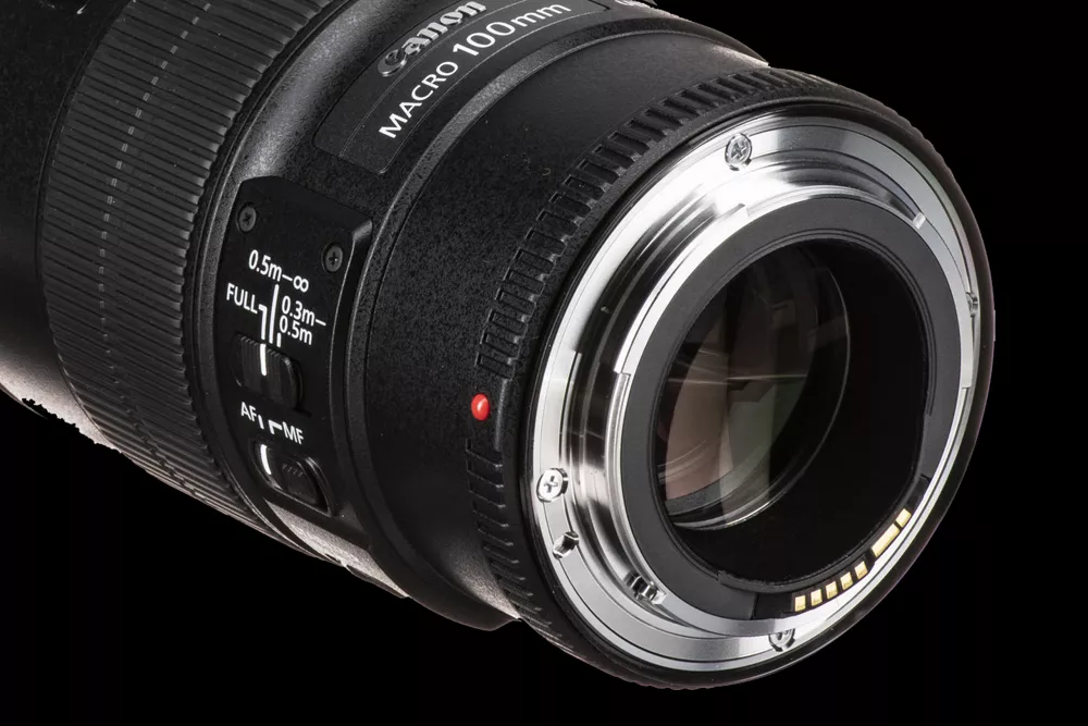 Firefly 　　Canon EF 100mm f/2.8L Macro 1200?1668705519