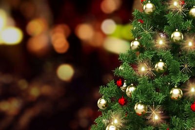 EF 100MM F/2.8L MACRO IS USM