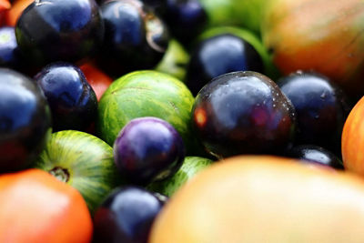 EF 100MM F/2.8L MACRO IS USM