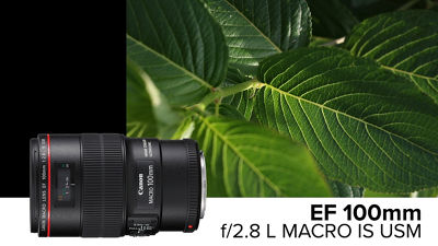 EF 100MM F/2.8L MACRO IS USM