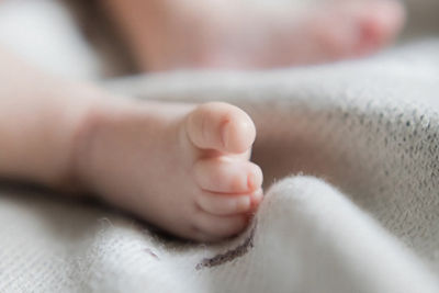 EF 50mm F/1.8 STM | Estándar