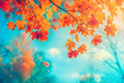 EF 70-200MM F4L II IS USM