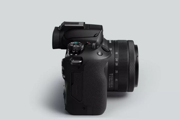  EOS R50 affichant le viseur électronique
