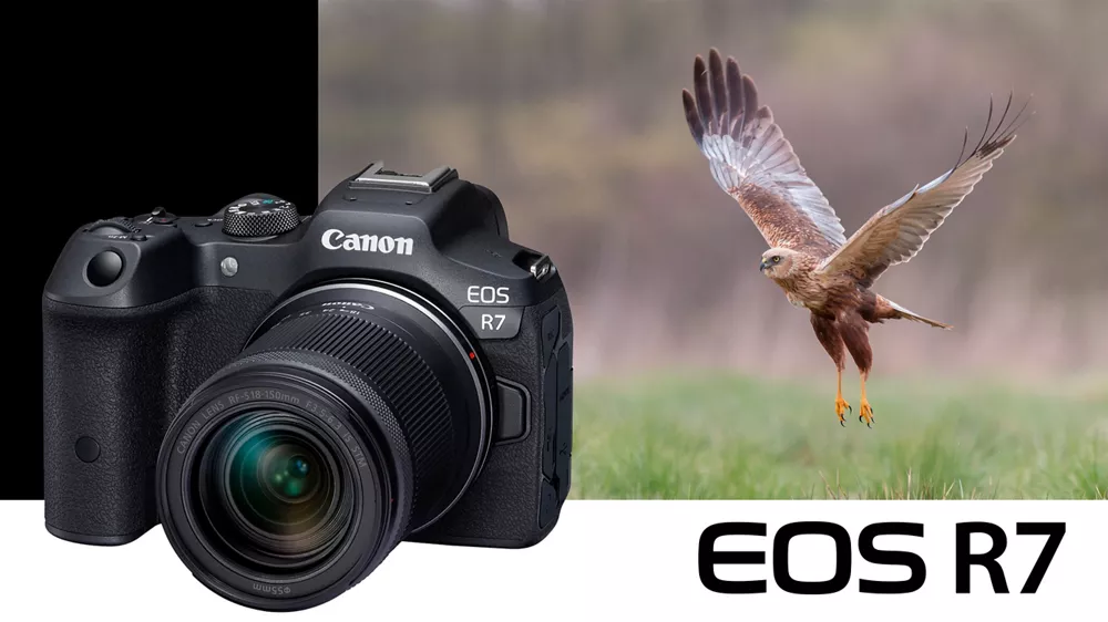 EOS R7 BODY