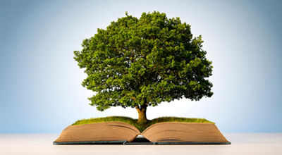 tree growing out of a book