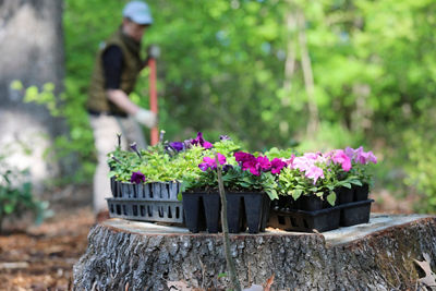 Canon members volunteer to build oyster cages in support of restoring the oyster population.