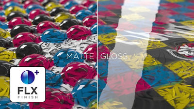 FLX Finish Plus Example