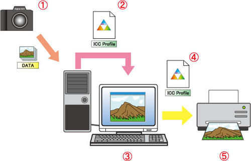 Color management basics.