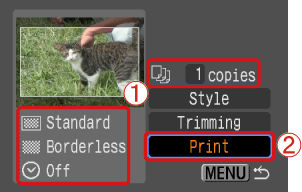 How to Direct Print using Canon Direct Print and Bubble Jet Direct.