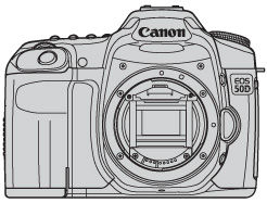Accessories bundled with the EOS 50D.