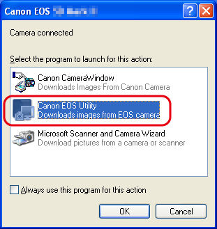 How to connect my EOS Rebel T1i to a computer