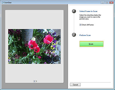 Scanning Film Using MP Navigator EX (LiDE 700F)