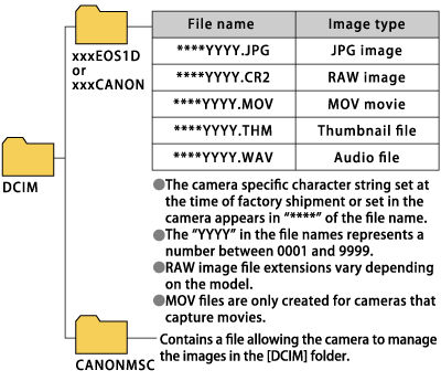 Using a Card Reader or a Card Slot on a Computer to Download Images.