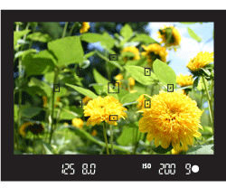 Shooting with Focus Lock (EOS REBEL T5/EOS 1200D)