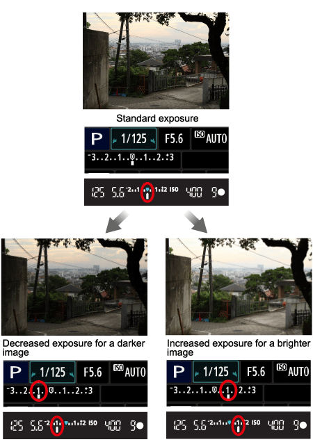 How to set Exposure Compensation on the EOS REBEL T3/T3i.
