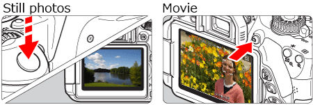 Changing the AF Mode to Use the Live View Function to Shoot Still ...