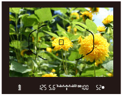 Shooting with Focus Lock (EOS 70D)