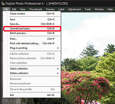Saving images that were edited with Digital Photo Professional Ver. 4.0 ...