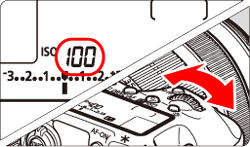 Setting the ISO Speed (EOS 7D Mark II)