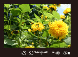 Shooting with Focus Lock (EOS 5DS / EOS 5DS R)
