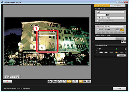 Using the Remote Live View Function in EOS Utility to Shoot Still