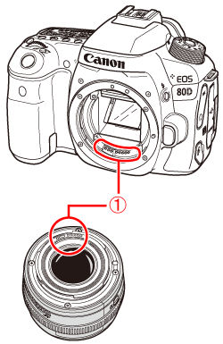 AF (Autofocus) does not operate (EOS 80D)