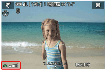 Is It Possible to Add Special Camera Effects to Images? (Producing ...