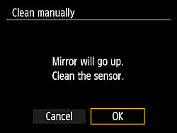 How to Manually Clean Your EOS Rebel T7's Sensor
