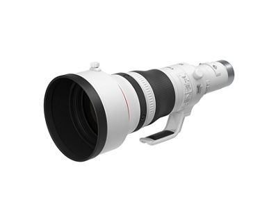 RF800mm F5.6 L IS USM - Short lens hood